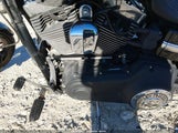 Harley-Davidson Fxdwg 1HD1GP413BC301115 снимка