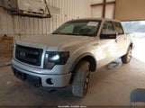 Ford F-150 Fx4 1FTFW1EFXDFB14876 снимка