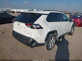 Toyota Rav4 Xle 2T3W1RFV2KW019226 снимка