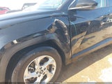 Miniaturka zdjęcia 6