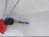 Miniaturka zdjęcia 11