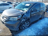 Honda Cr-V Lx 2HKRM4H36EH727123 снимка