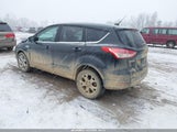 Miniaturka zdjęcia 3