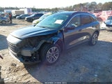 Ford Escape Sel 1FMCU0H60LUB31660 снимка