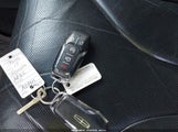 Miniaturka zdjęcia 11