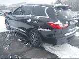 Miniaturka zdjęcia 3