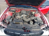 Ford Mustang V6 Deluxe/V6 Premium 1ZVFT80N775211685 photo