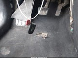 Miniaturka zdjęcia 11