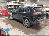 Miniaturka zdjęcia 3
