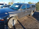 Dodge Dakota Sport/Sxt 1D7HG38N34S667452 photo