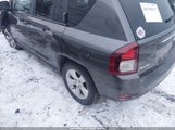 Miniaturka zdjęcia 3