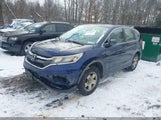 Miniaturka zdjęcia 2