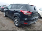 Miniaturka zdjęcia 3