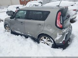 Miniaturka zdjęcia 3