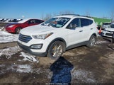 Hyundai Santa Fe Sport 2.0L Turbo 5XYZU3LA7EG192276 photo