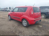 Miniaturka zdjęcia 3