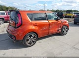 Miniaturka zdjęcia 4