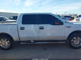 Ford F-150 Xlt 1FTFW1CF0DFD56398 fotografie