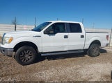 Ford F-150 Fx2 Sport/Harley-Davidson/King Ranch/Lariat/Platinum/Xl/Xlt 1FTFW1CV5AFD71756 снимка