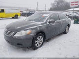 Toyota Camry Le 4T1BE46K09U895050 снимка