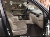 Miniaturka zdjęcia 5