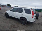 Miniaturka zdjęcia 3