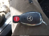 Miniaturka zdjęcia 11