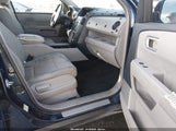 Miniaturka zdjęcia 5