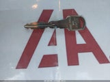 Miniaturka zdjęcia 11