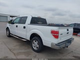 Ford F-150 Fx2 Sport/Harley-Davidson/King Ranch/Lariat/Platinum/Xl/Xlt 1FTFW1CV9AKB68456 photo