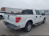 Ford F-150 Fx2 Sport/Harley-Davidson/King Ranch/Lariat/Platinum/Xl/Xlt 1FTFW1CV9AKB68456 photo