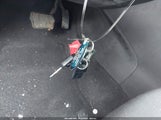 Miniaturka zdjęcia 11