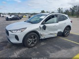 Miniaturka zdjęcia 2
