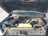 Ford F-150 Xlt 1FTEW1C58LKF46555 снимка
