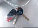 Miniaturka zdjęcia 11