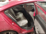 Miniaturka zdjęcia 8