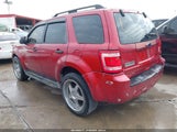 Ford Escape Xls/Xls Manual 1FMCU02Z18KE12503 photo