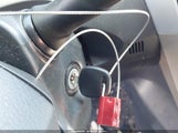 Miniaturka zdjęcia 11