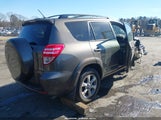 Miniaturka zdjęcia 4