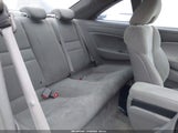Miniaturka zdjęcia 8