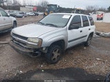 Chevrolet Trailblazer Ls 1GNDT13S852175336 снимка