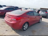 Miniaturka zdjęcia 4