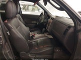 Ford Escape Xlt 1FMCU93G99KB20651 снимка