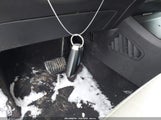 Miniaturka zdjęcia 11