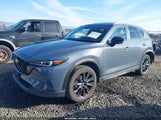 Miniaturka zdjęcia 2