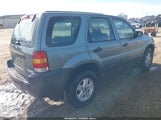 Ford Escape Xls/Xls Manual 1FMCU02Z87KA99318 photo