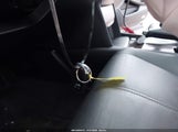 Miniaturka zdjęcia 11