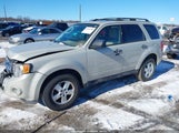 Ford Escape Xlt 1FMCU03729KA21715 снимка