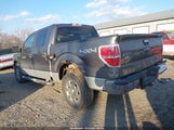 Ford F-150 Fx4/King Ranch/Lariat/Platinum/Xl/Xlt 1FTPW14V99FA91398 photo