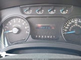 Miniaturka zdjęcia 7